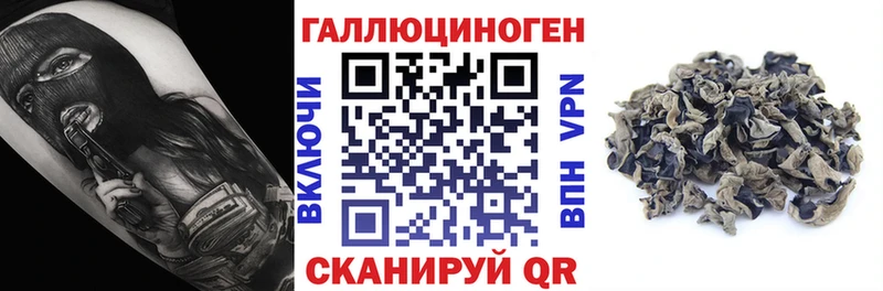 Псилоцибиновые грибы GOLDEN TEACHER  MEGA зеркало  Тотьма 