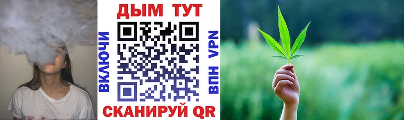 Канабис сатива  Тотьма 